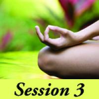 Simplicity of Meditation 2014 - Session 3