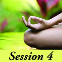 Simplicity of Meditation 2014 - Session 4