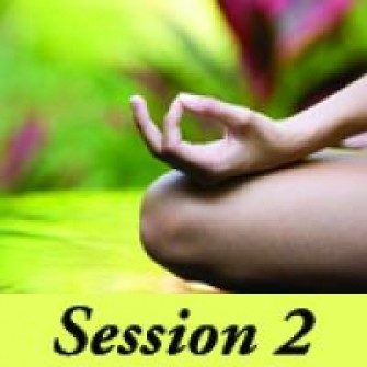 Simplicity of Meditation 2014 - Session 2