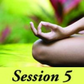 Simplicity of Meditation 2014 - Session 5