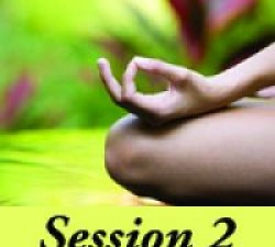 Simplicity of Meditation 2014 - Session 2